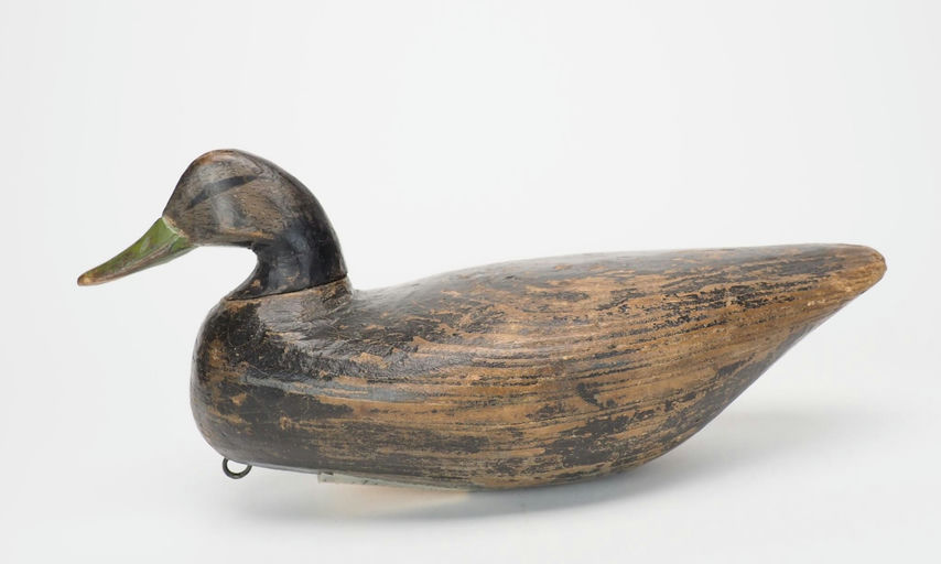 Doug Jester – Black Duck – 2025