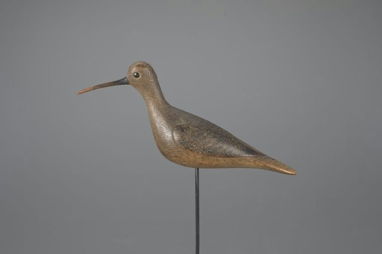 Mark McNair – Eskimo Curlew – 2024