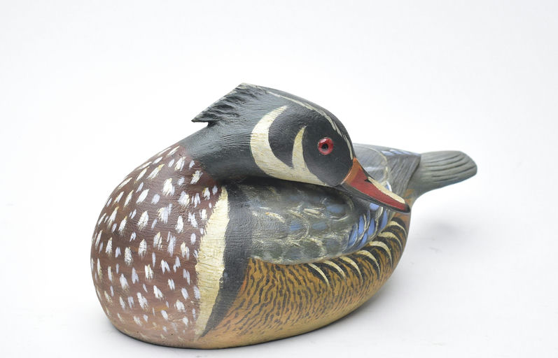 Reggie Birch – Wood Duck – 2026