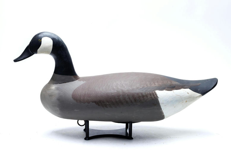 R. Madison Mitchell – Canada goose – 2026