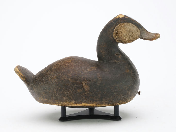 Cameron McIntyre – Ruddy Duck – 2024