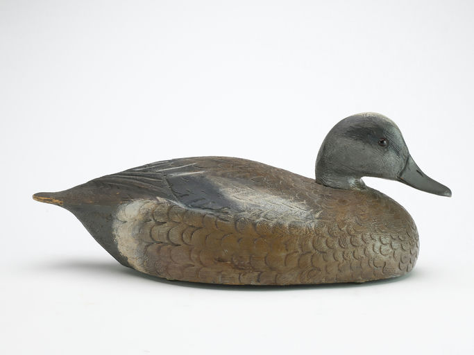 Ben Schmidt – Widgeon Drake – 2024