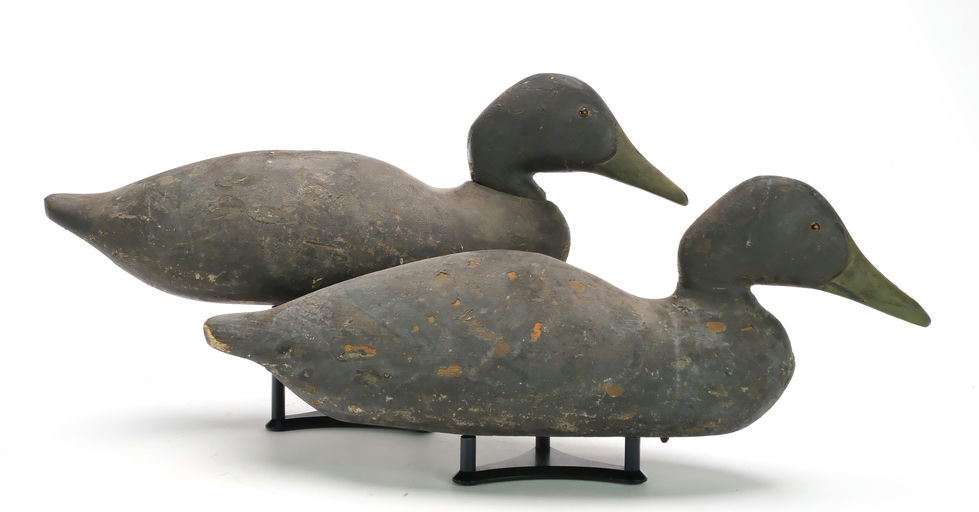 Dodge Factory – Black Duck – 2025