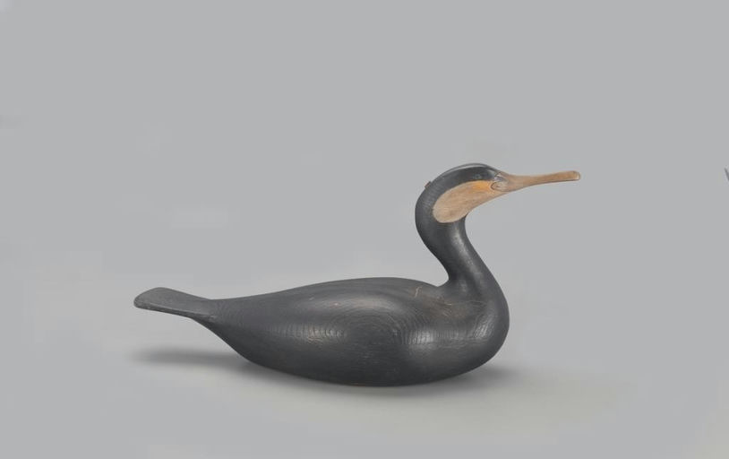 Colin S. McNair – Cormorant – 2021