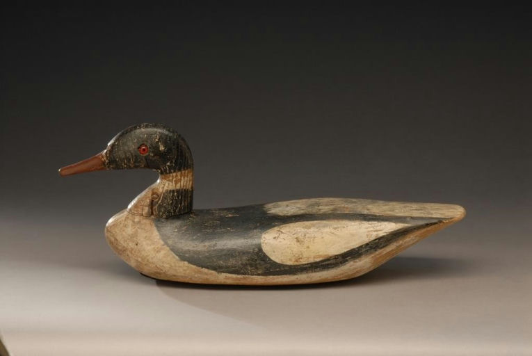 A.D. Haff – American Merganser – 2008