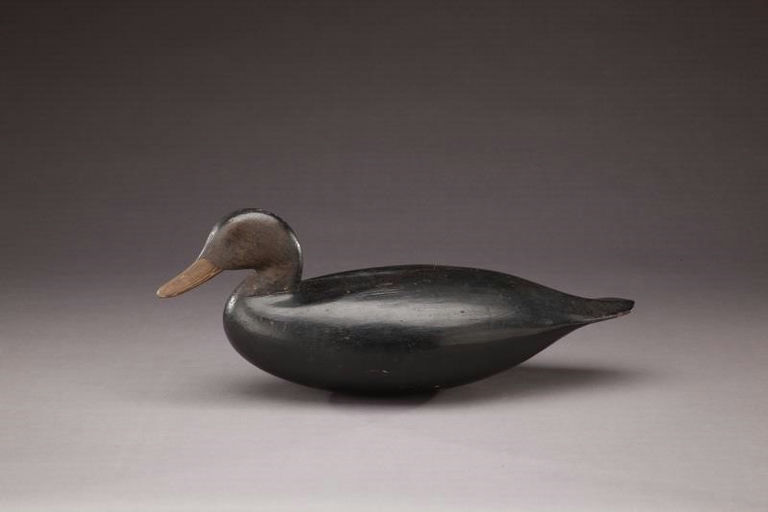 John Henry Downes – Black Duck – 2011