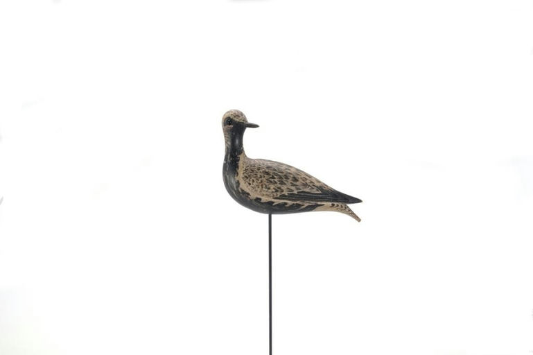 Elmer Crowell – The Waring Turned-Head Dust-Jacket Plover – 2021
