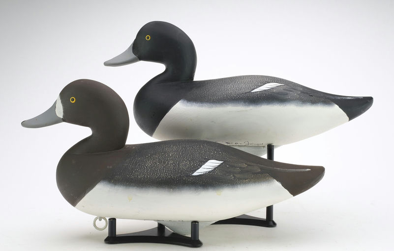 Charlie Joiner – Pair of Bluebills – 2024