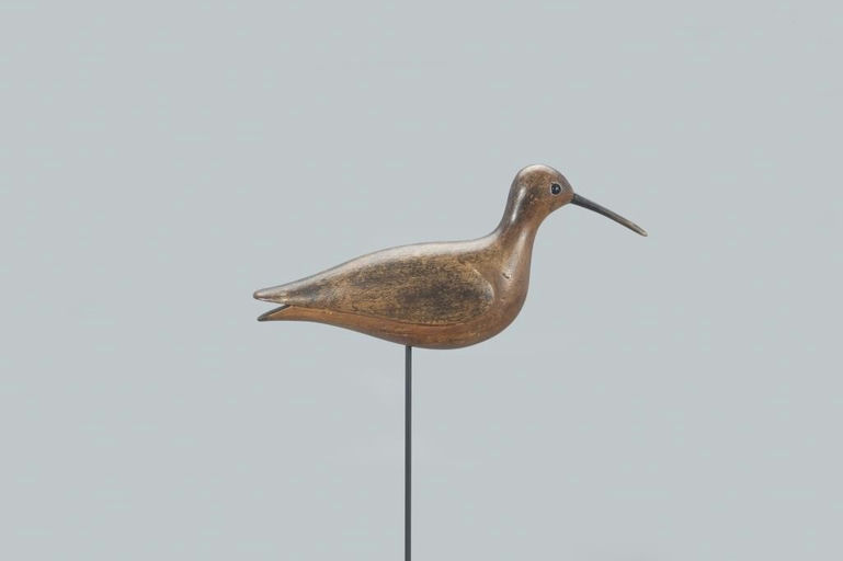 John Dilley – Rare Eskimo Curlew – 2022