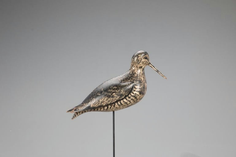 Charles Sumner Bunn – The Kinnaman Willet – 2021