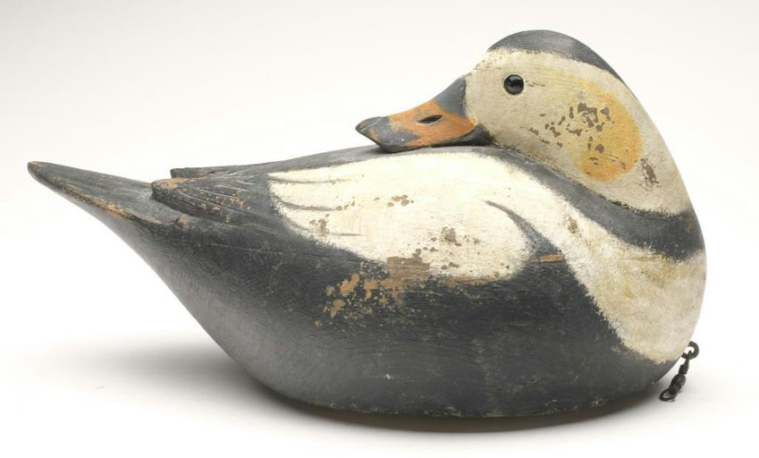Reggie Birch – Duck – 2023