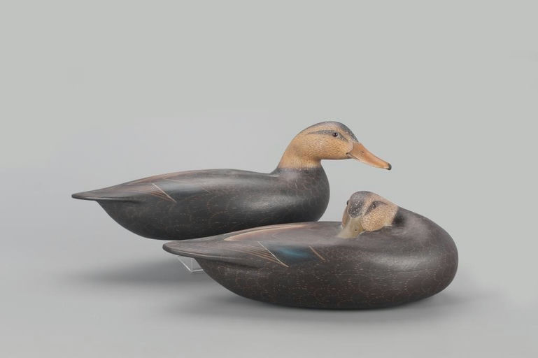 Anthony G. Murray – Black Duck Pair – 2022