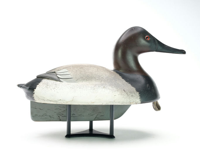 Ferdinand Bach – Canvasback – 2025