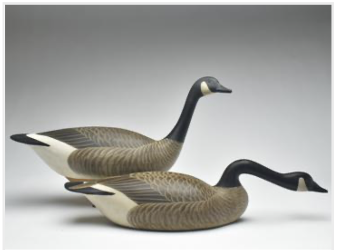 Marty Hanson – Canada Goose