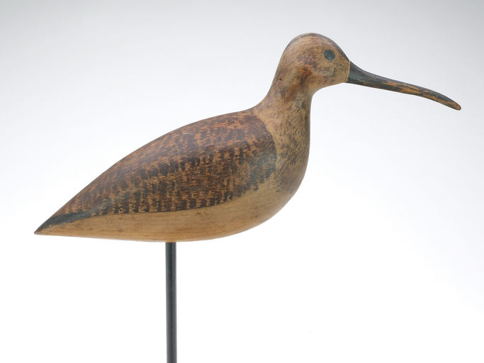 Harry V. Shourds – Curlew – 2024