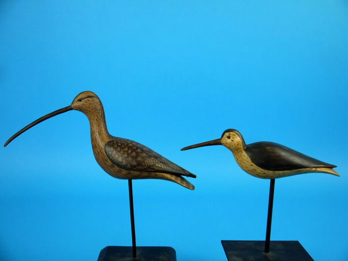 William Bill Johnson – Miniature Curlew/Yellowlegs – 2026