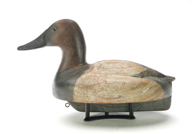 Ferdinand Bach – Canvasback – 2025