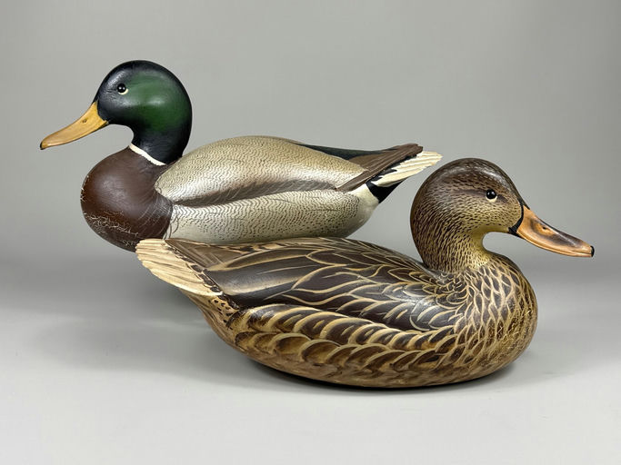 Ward Brothers – Mallard – 2026