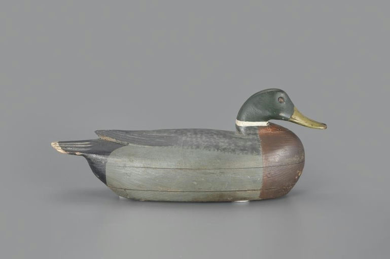 Tom Fitzpatrick – Mallard – 2024