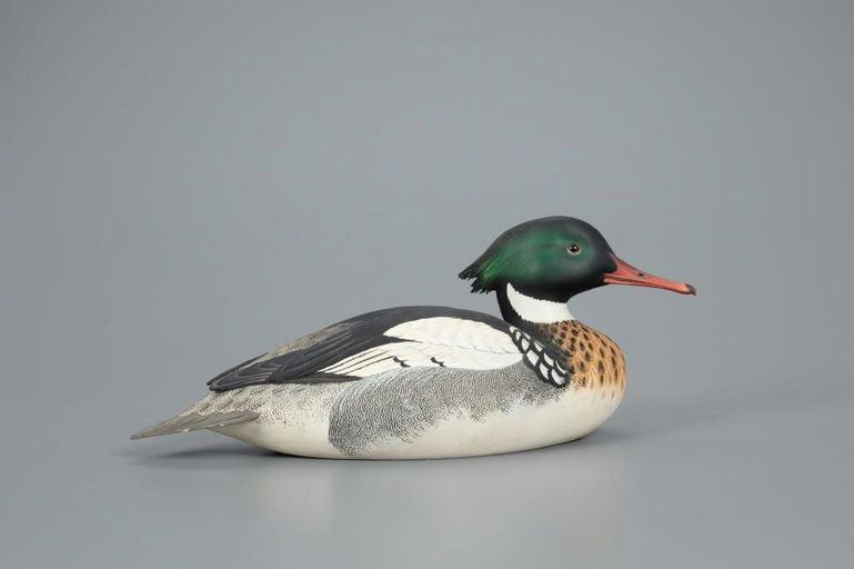 Oliver Lawson – Red-Breasted Merganser Drake – 2020