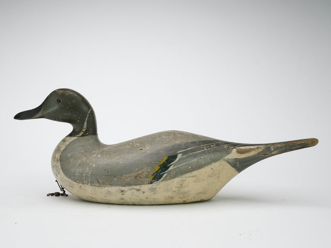 Charles Bergman – Pintail – 2024