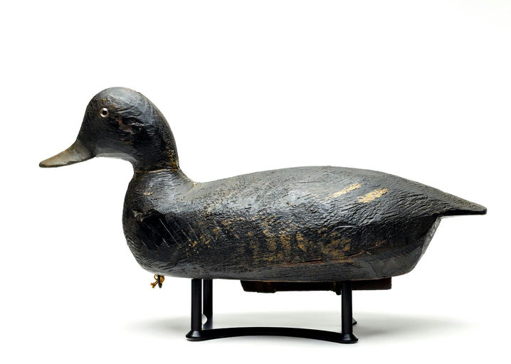 Lloyd Tyler – Scaup – 2026