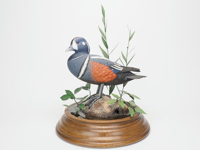 Al Burk — Harlequin Duck Drake