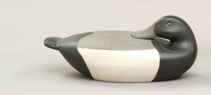 Willard C. Baldwin – Preening Bluebill – 2009