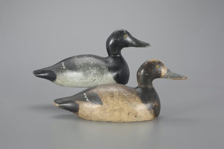 Evans Decoy Company – Mammoth-Grade Bluebill Pair – 2023