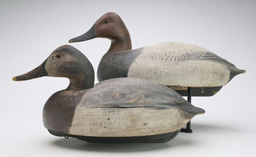 Ben Schmidt – Pair of Canvasbacks – 2024