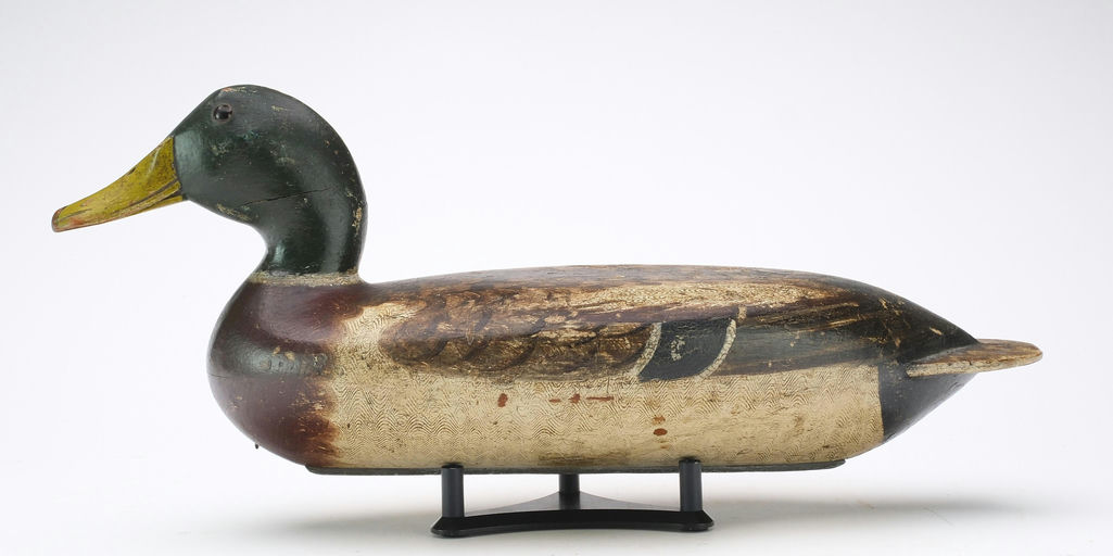 Robert Elliston – Mallard Drake – 2024