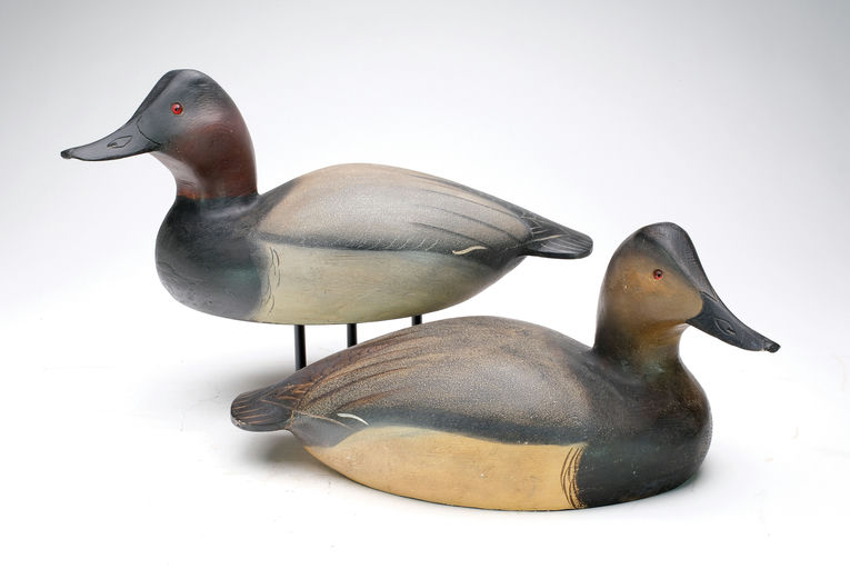 Ward Brothers – Pair of canvasbacks – 2024