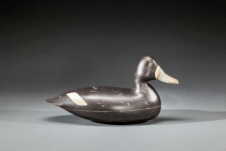 Harry V. Shourds – Broadbill Hen – 2016