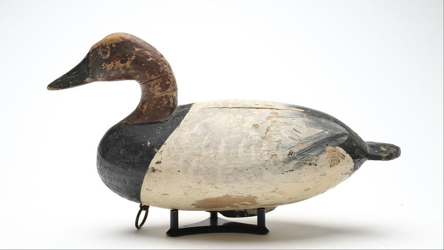 Ira Hudson – Canvasback – 2025