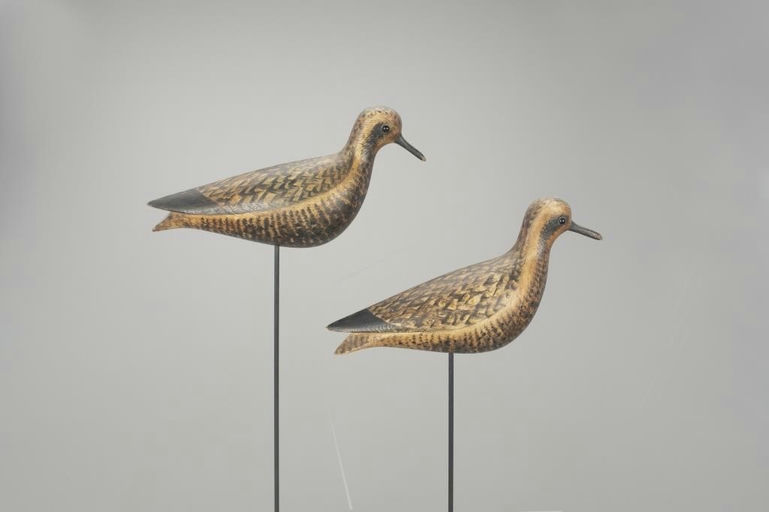 Cameron McIntyre – Golden Plover Pair – 2022