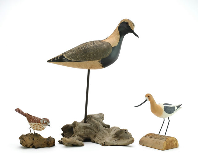 Harry V. Shourds – Black Bellied Plover – 2024
