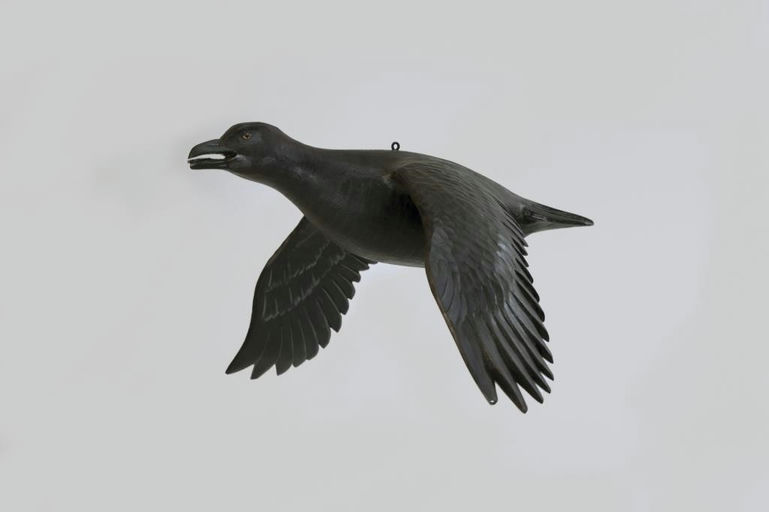Mike Borrett – Rare Flying Raven Carving – 2026