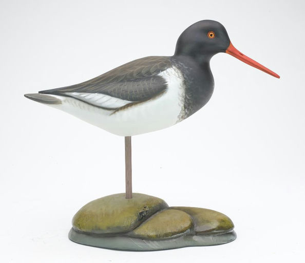 Sean Sutton – Oystercatcher – 2023
