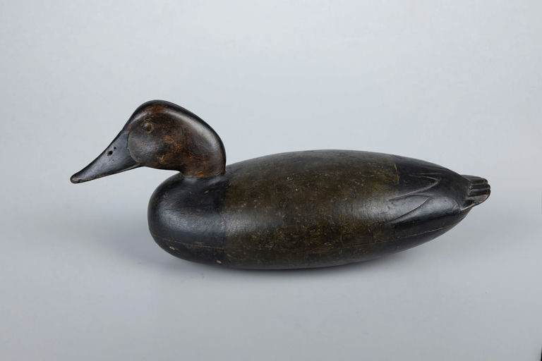 John English – Canvasback Drake – 2026