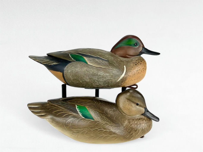Lenny Maiorano — Green-winged Teal Pair