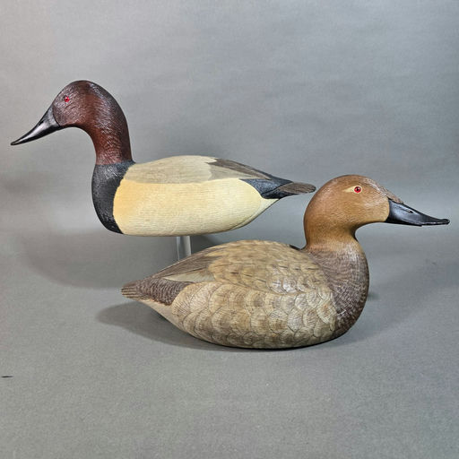 Joe Anderlik – Canvasback – 2026