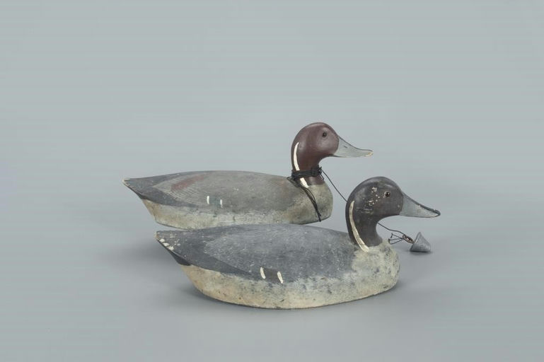 Reeves Family – Two Reeves Pintail Drakes – 2022