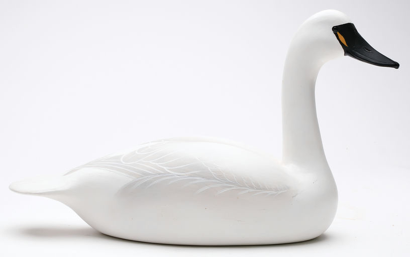 Charlie Joiner – Swan – 2026