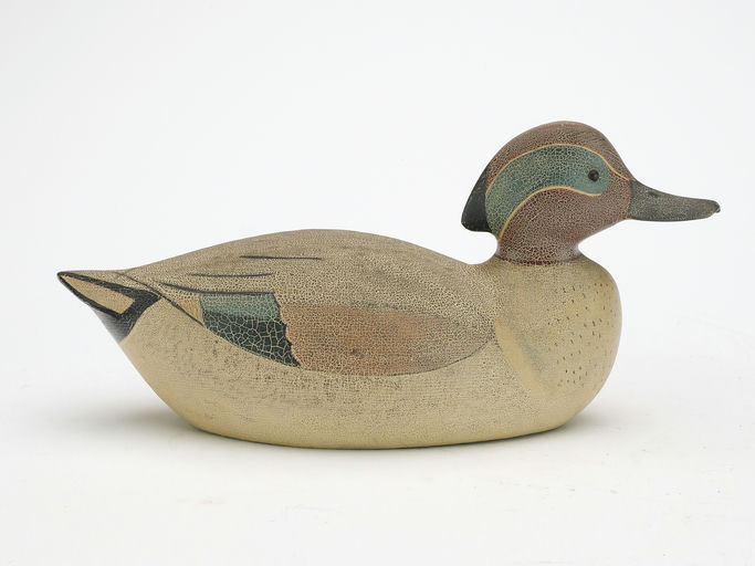 George Boyd – Green-winged Teal – 2025