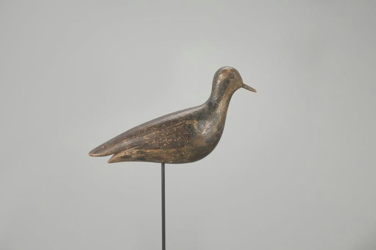 Joseph Lincoln – Golden Plover – 2023