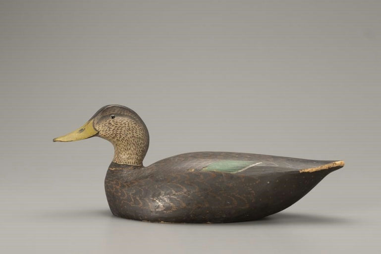 Ward Brothers – Black Duck – 2018