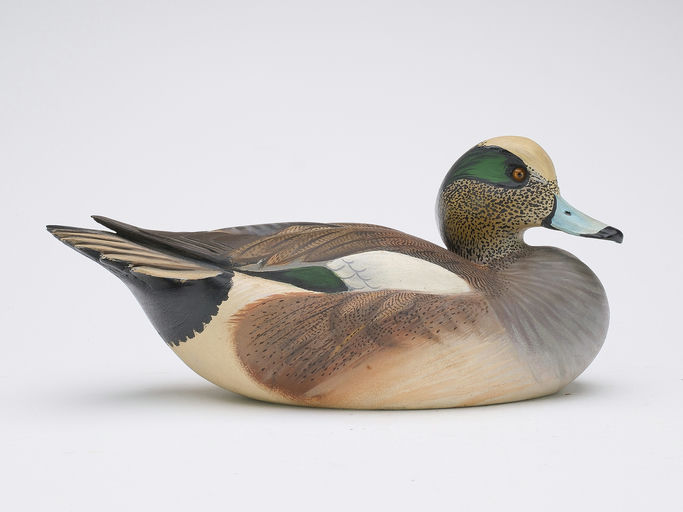 Ward Brothers – Decorative Wigeon – 2024