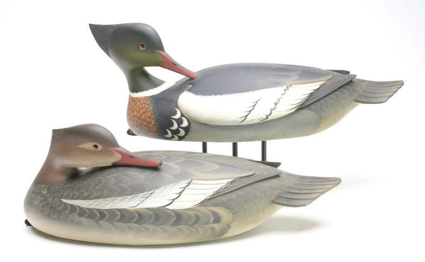 George Strunk – Pair of Merganser – 2023