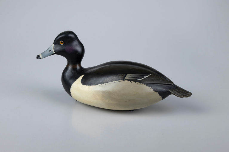 Bob White – Ring-Necked Duck – 2026