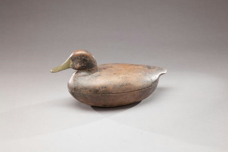 Cassius Smith – Turned-head Black Duck – 2013